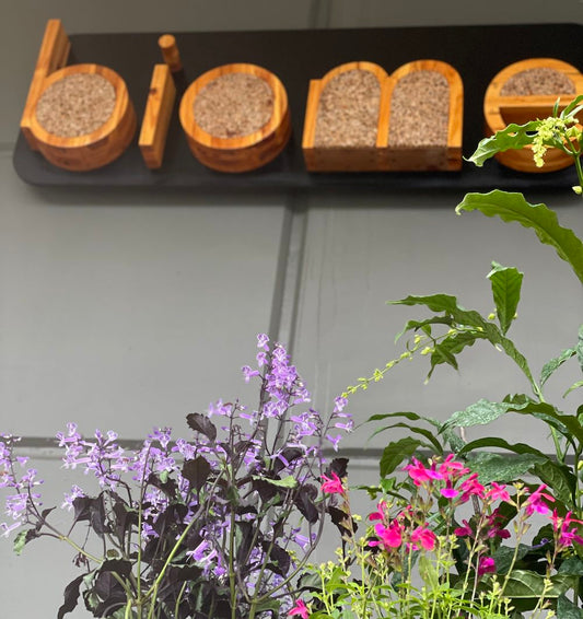 Behind The Scenes at Biome