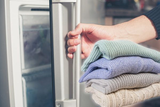 Freeze Your Woolly Jumper – And Other Smart Tactics To Stop Clothes Moths