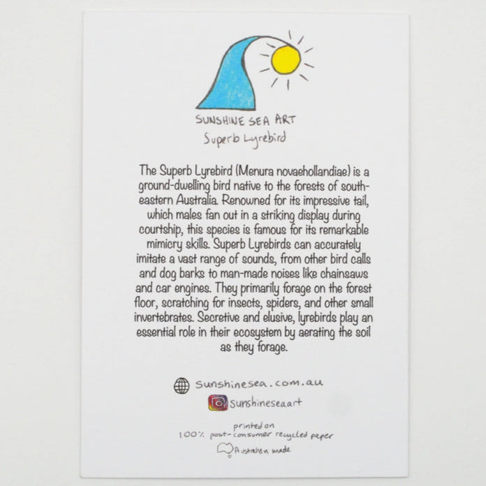 Sunshine Sea Art Greeting Card - Superb Lyrebird