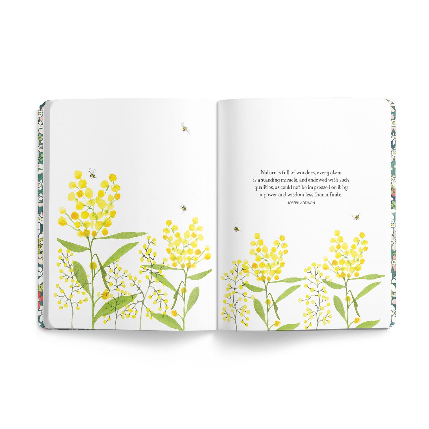 Affirmations Bee Journal - Stripes