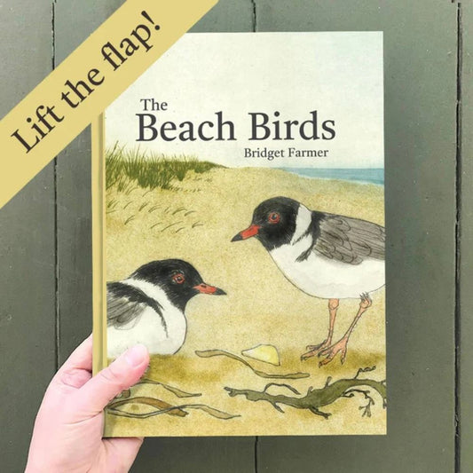 Bridget Farmer Lift-the-Flap Book - The Beach Birds