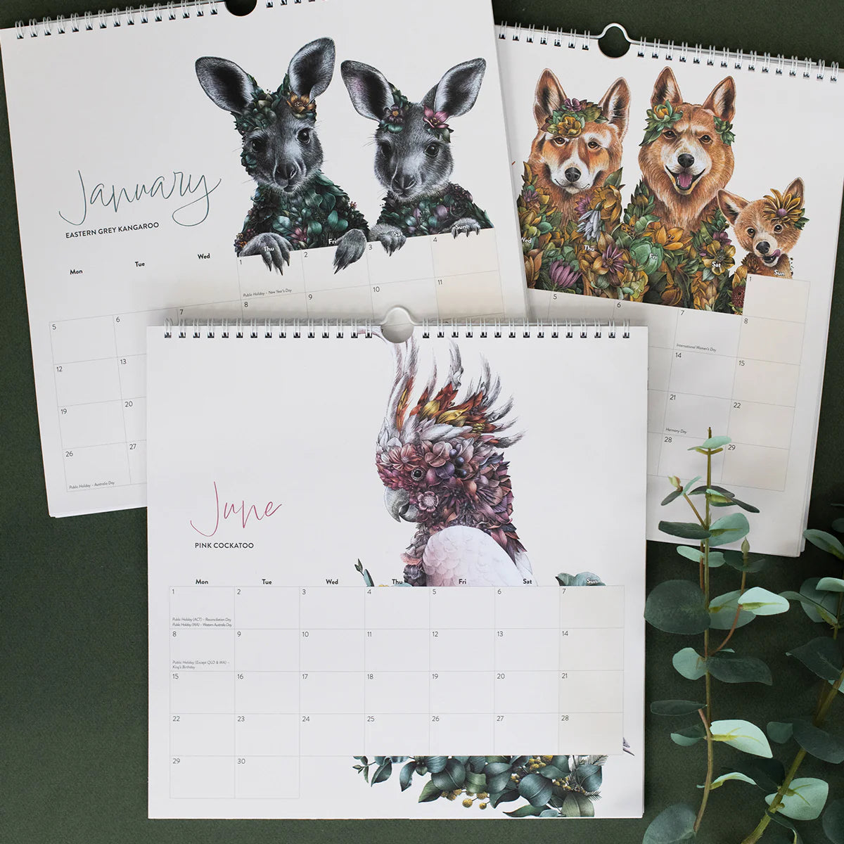 Marini Ferlazzo 2026 Calendar – Wild Australia