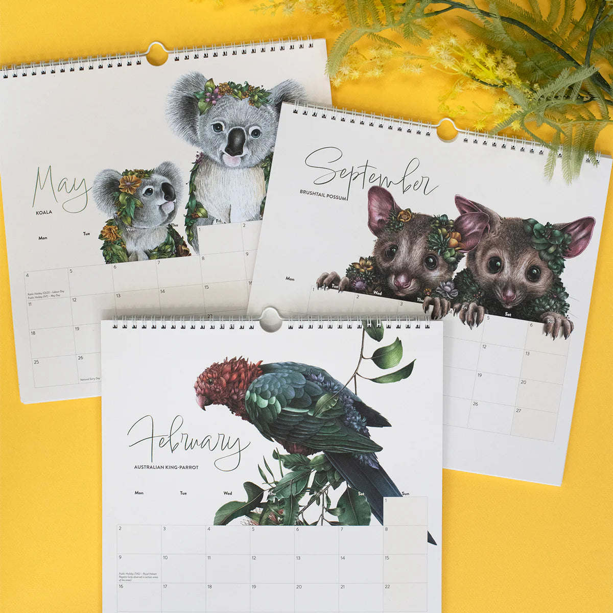 Marini Ferlazzo 2026 Calendar – Wild Australia