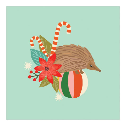 Aero Small Christmas Card - Echidna