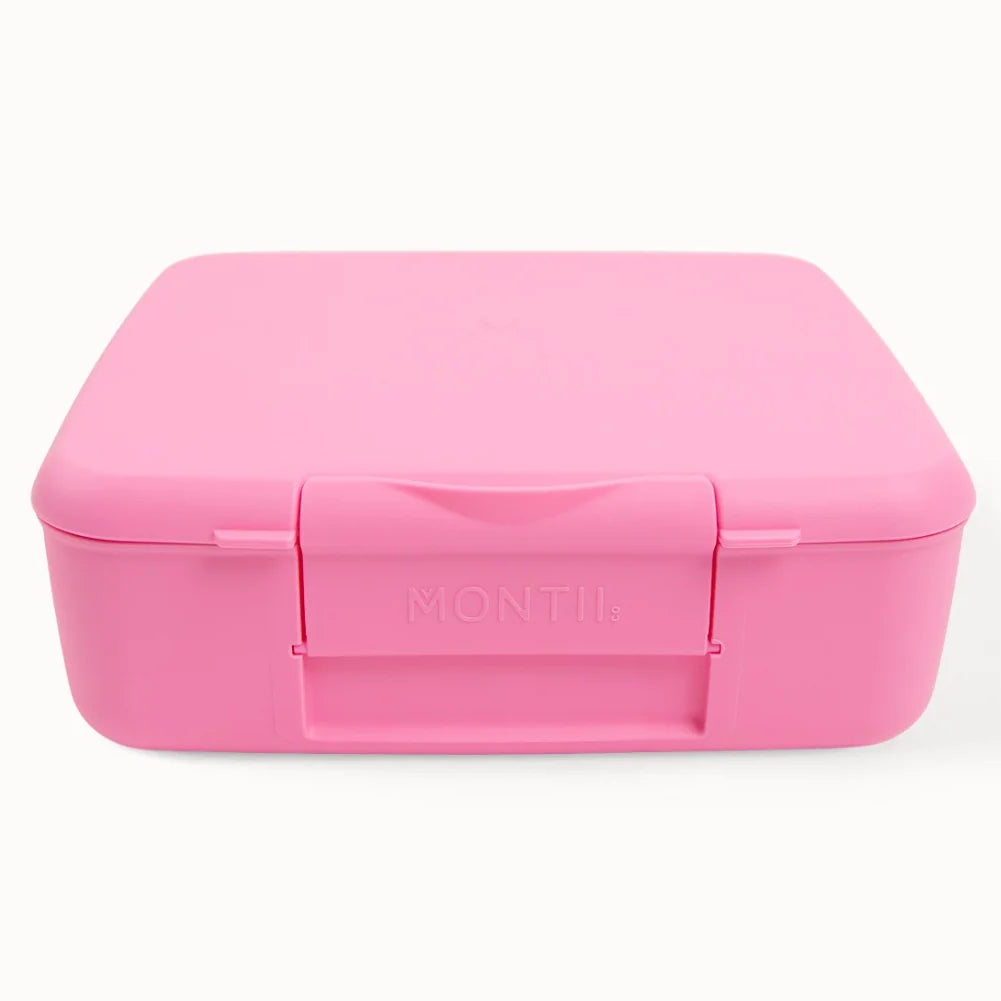 MontiiCo Bento Feast Lunch Box