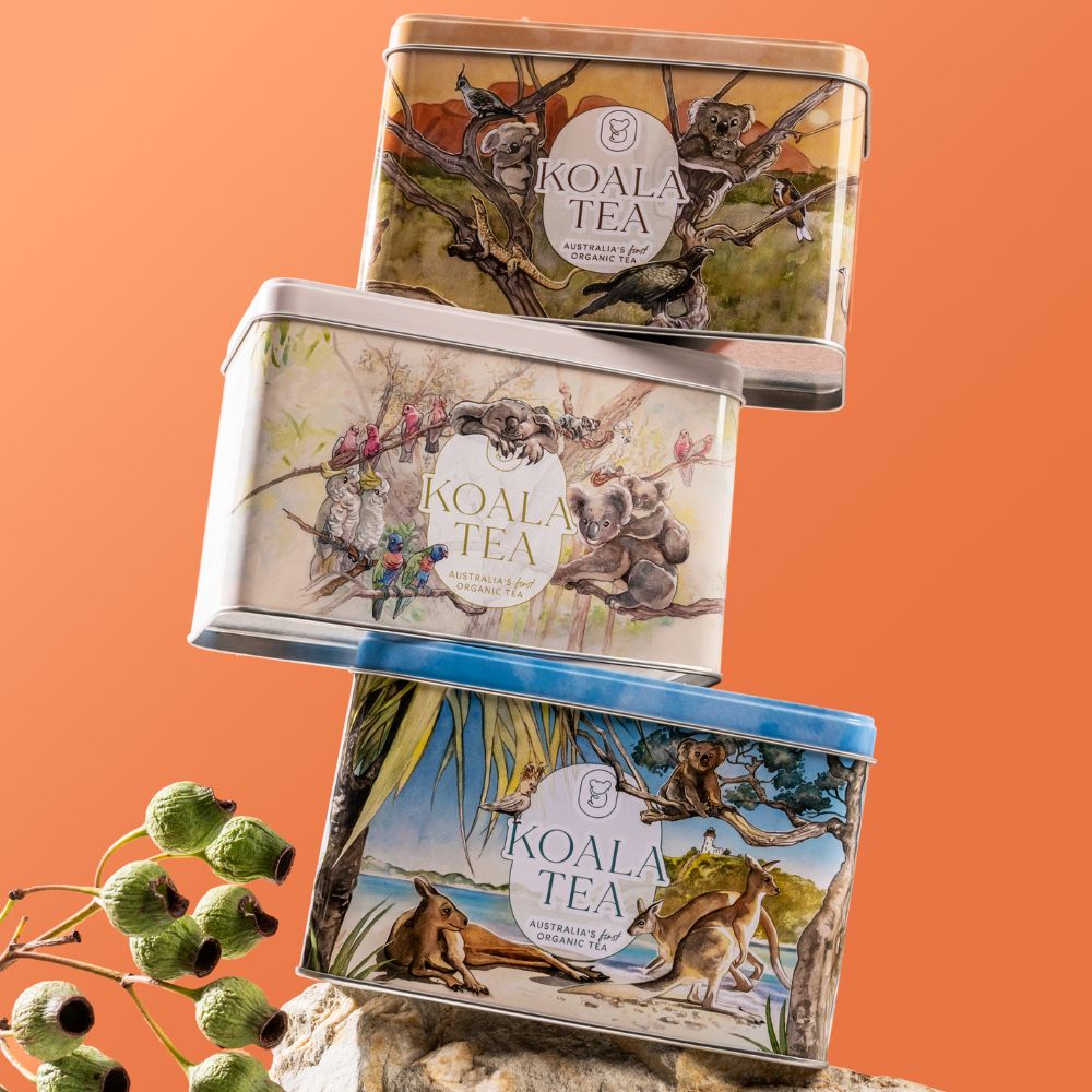 Koala Tea Gift Tin Forest - Organic Tea Bags Selection (25 pack)