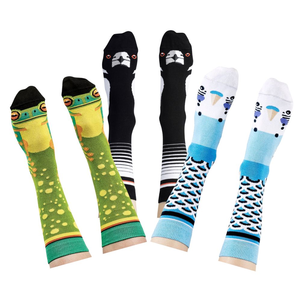 Out On The Patio Bundle - Australian Made Socks