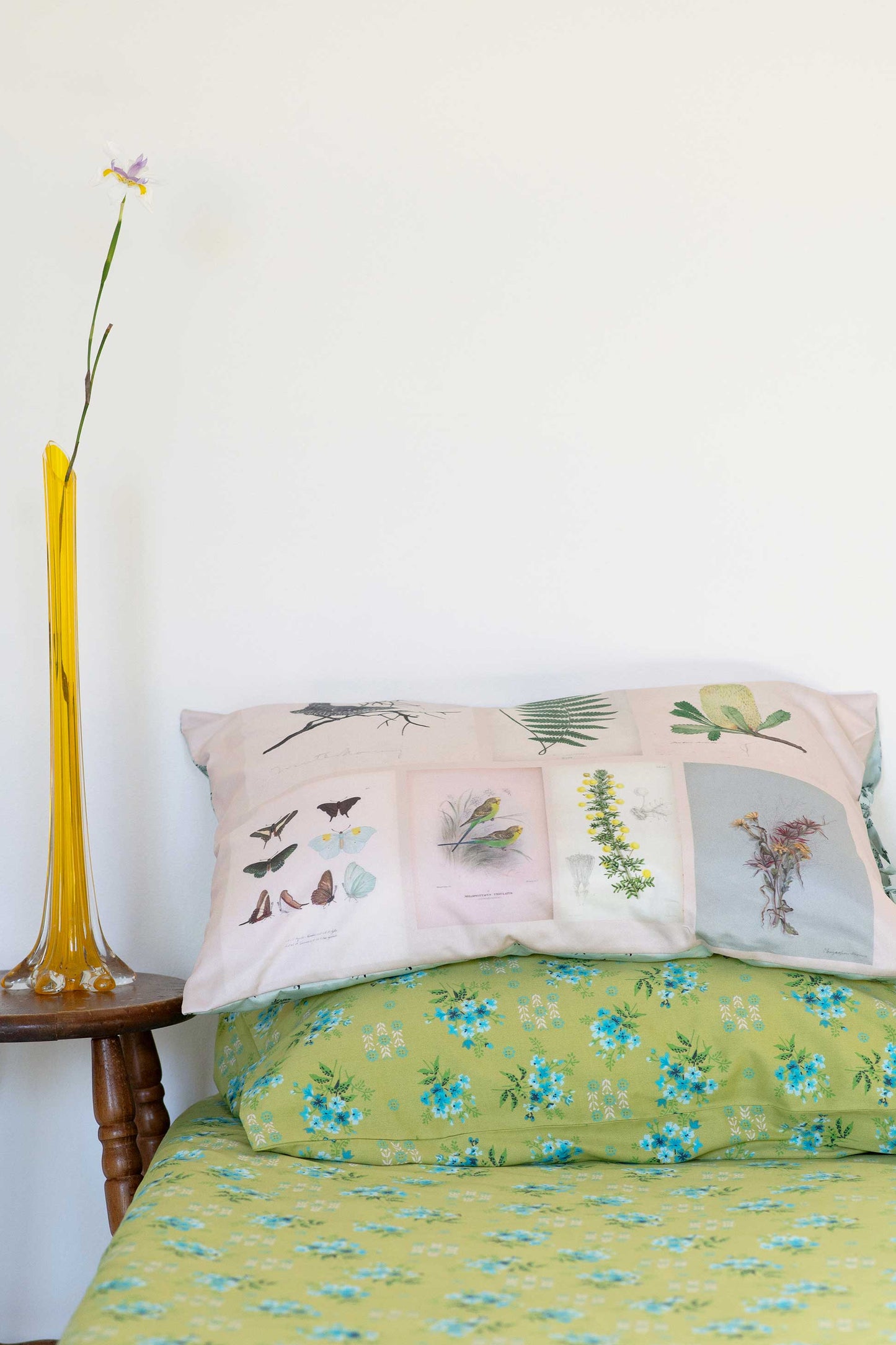 Lazybones Organic Cotton Pillowcase Set - Scrapbook