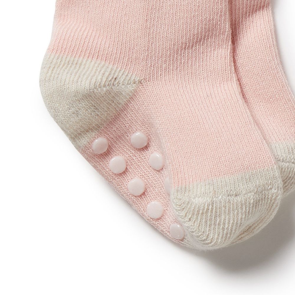Wilson & Frenchy Organic 3 Pack Baby Socks - Cantaloupe