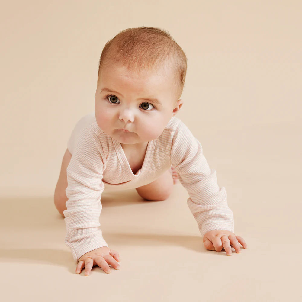 Wilson & Frenchy Organic Stripe Rib Wrap Bodysuit - Cantaloupe