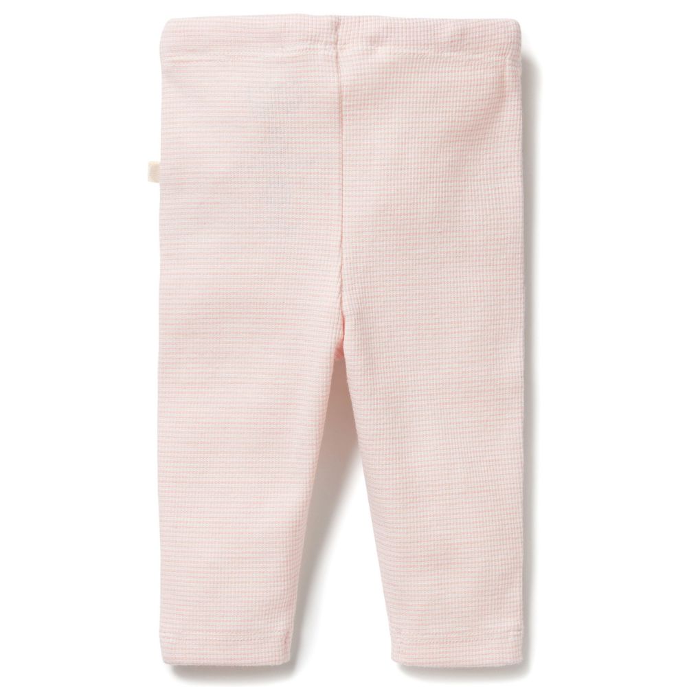 Wilson & Frenchy Organic Stripe Rib Legging - Cantaloupe