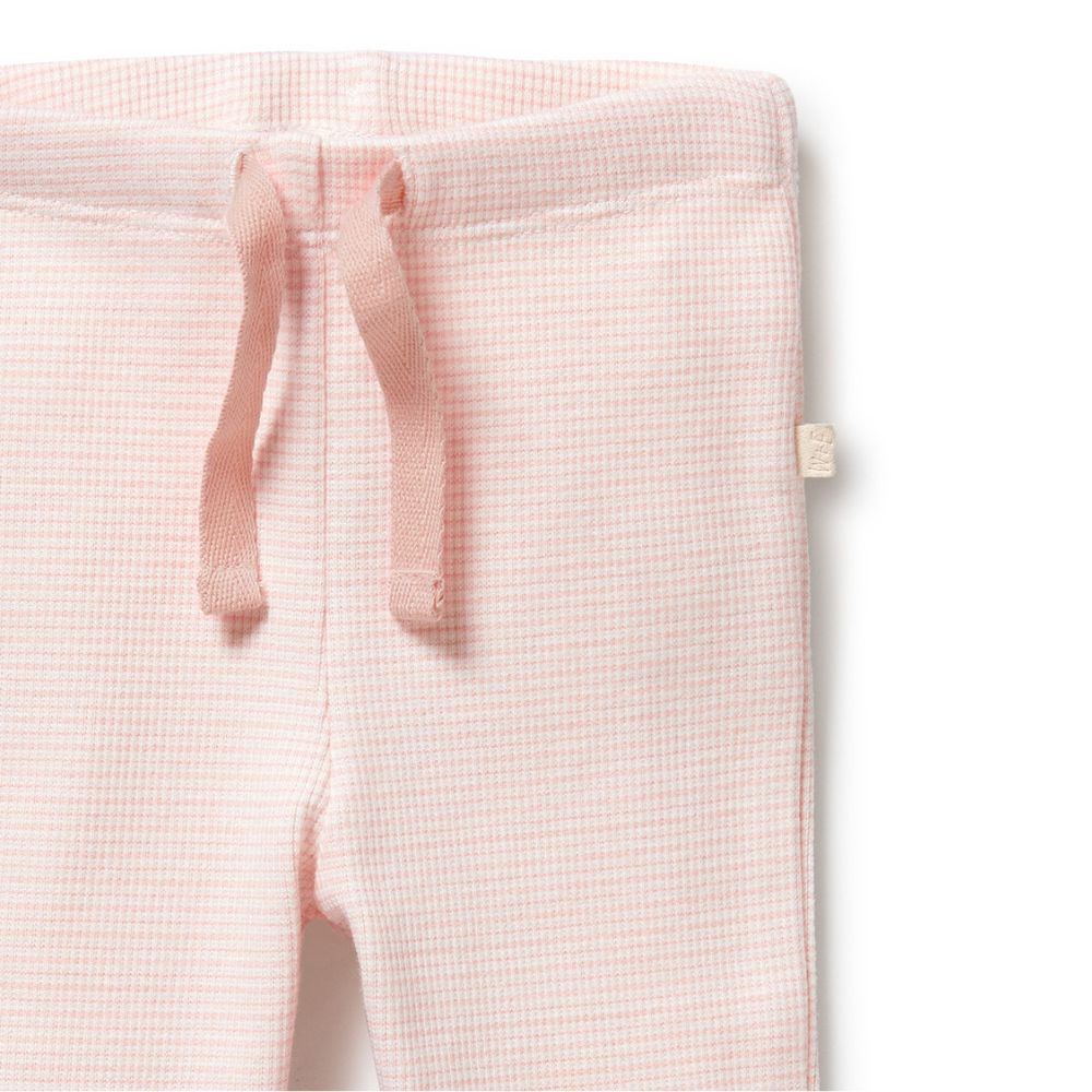 Wilson & Frenchy Organic Stripe Rib Legging - Cantaloupe