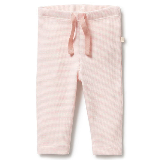 Wilson & Frenchy Organic Stripe Rib Legging - Cantaloupe