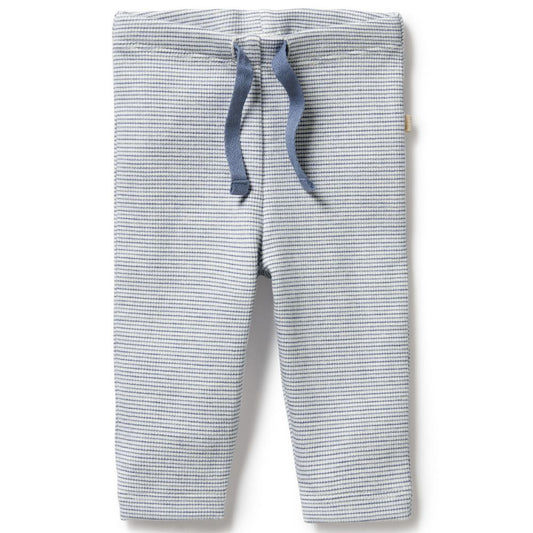 Wilson & Frenchy Organic Stripe Rib Legging - Rain Drop