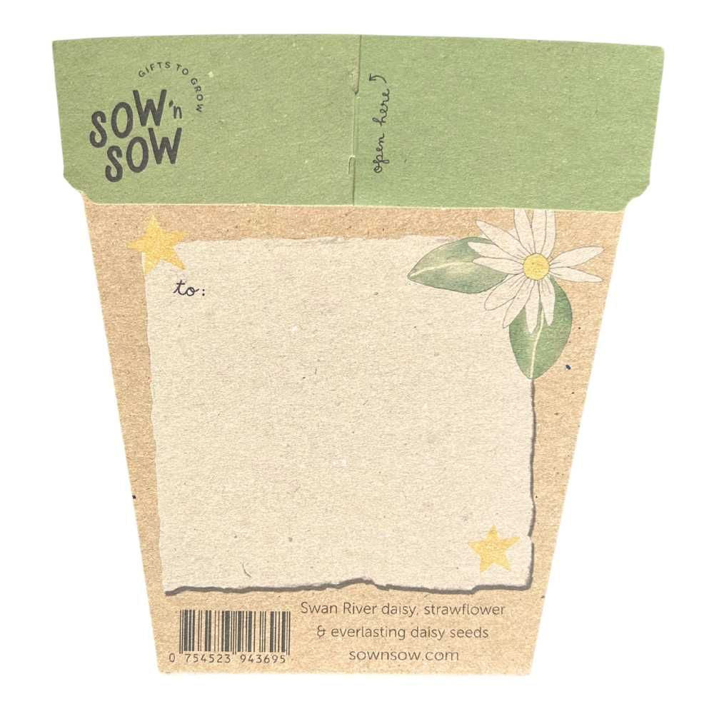 Sow 'n Sow Gift of Seeds Christmas Card - Native Daisies
