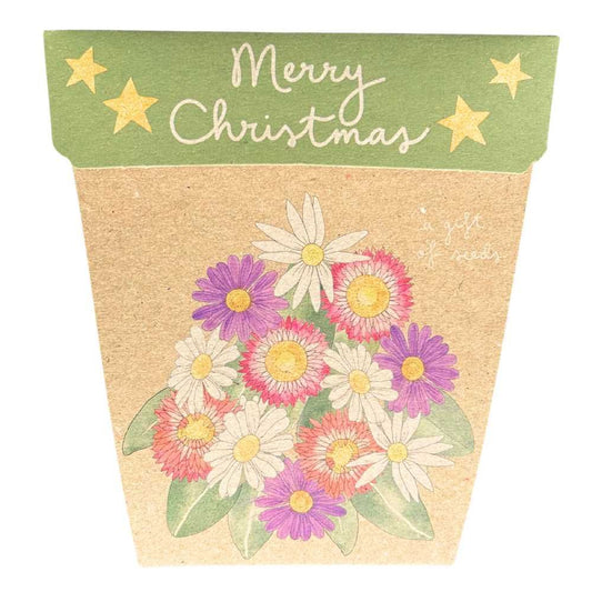 Sow 'n Sow Gift of Seeds Christmas Card - Native Daisies