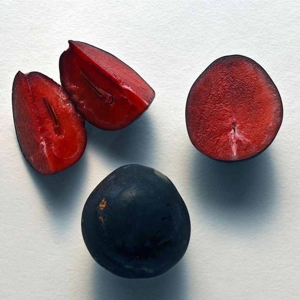 Ziggy's Wild Foods Davidson Plum & Gin Botanical Jam 200g