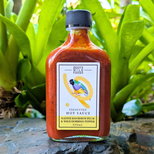 Ziggy's Wild Foods Native Davidson Plum & Wild Dorrigo Pepper Hot Sauce 200ml