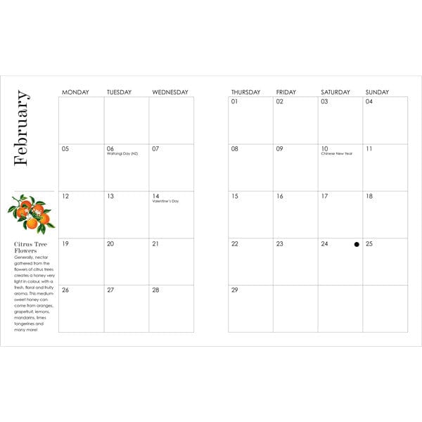 Affirmations Bee Diary 2024