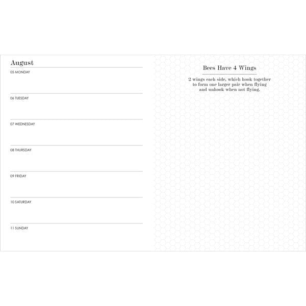 Affirmations Bee Diary 2024