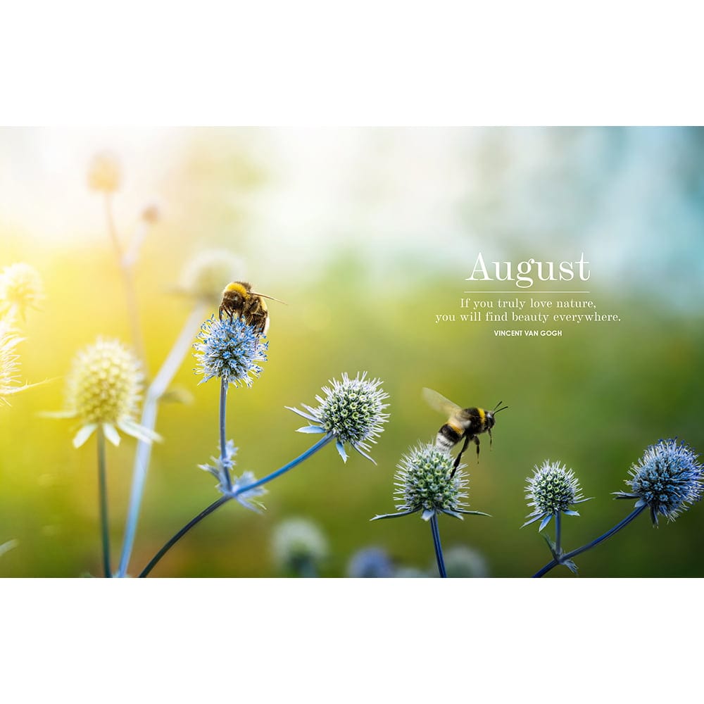 Affirmations Bee Diary 2024
