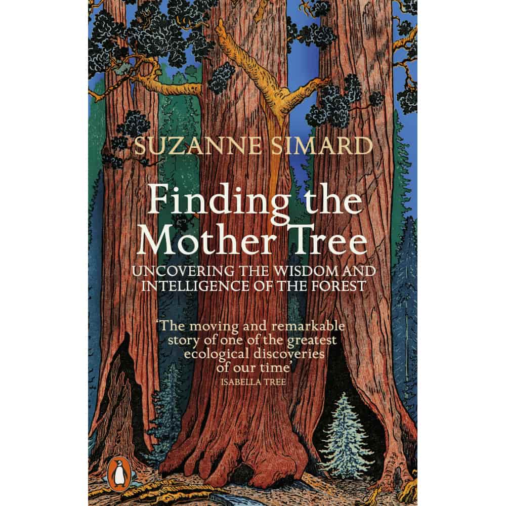 Finding the Mother Tree
