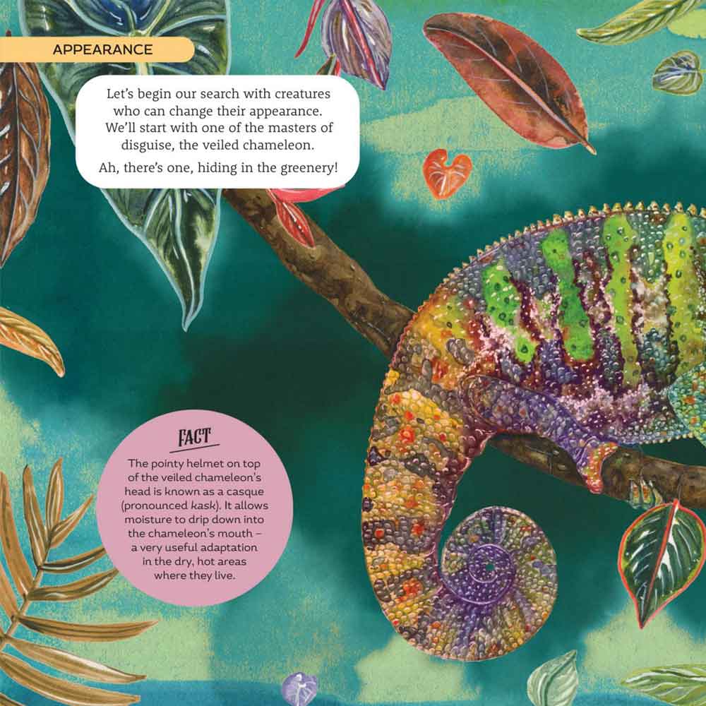 How We Came To Be: Creatures of Camouflage And Mimicry