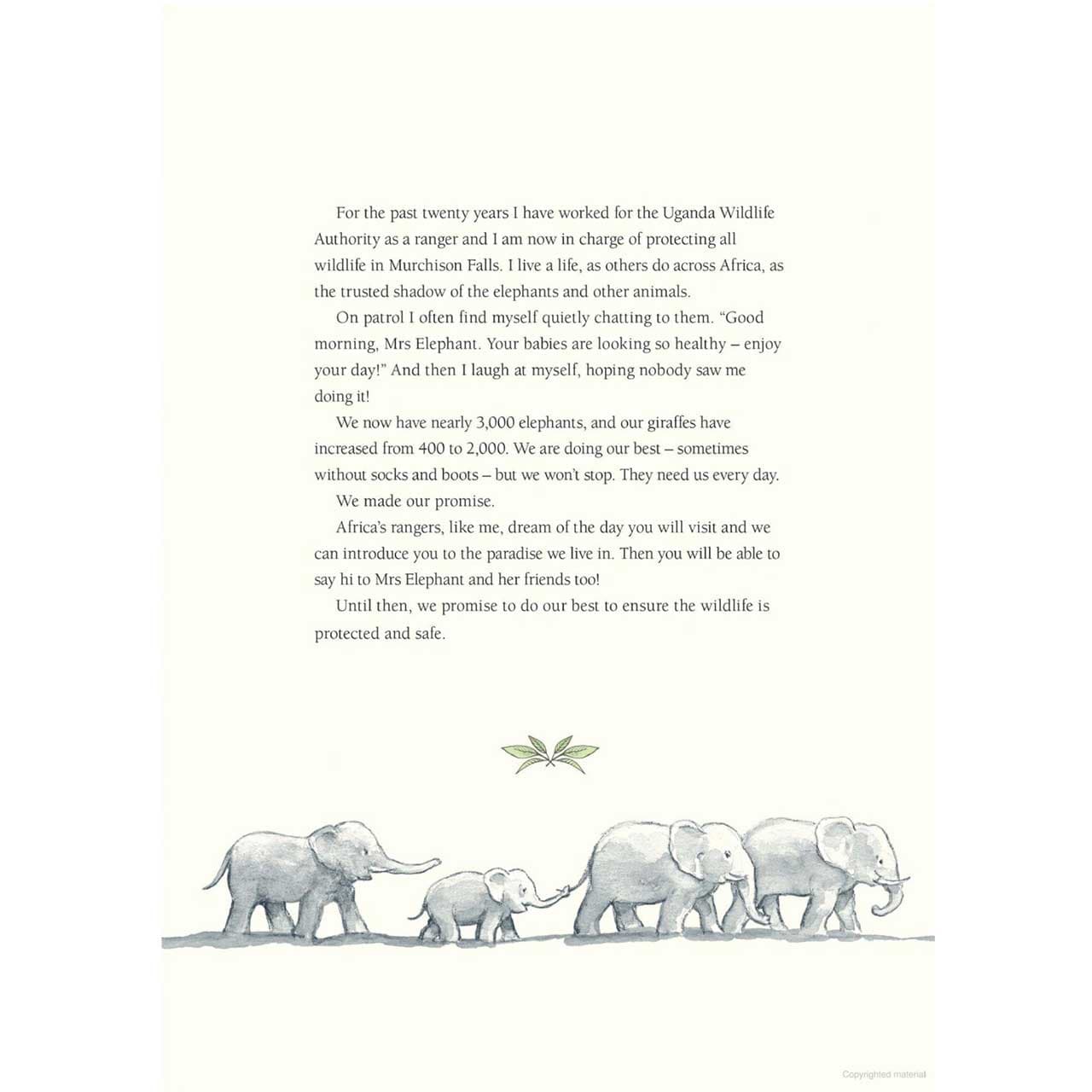 Noa And The Little Elephant