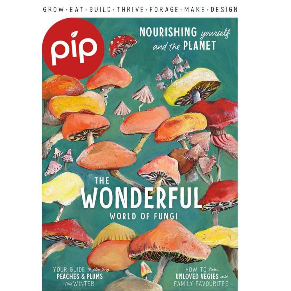 Pip Magazine Issue 28