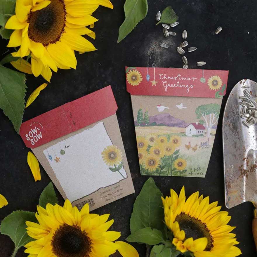 Sow 'n Sow Gift of Seeds Christmas Card - Sunflower Christmas Greetings