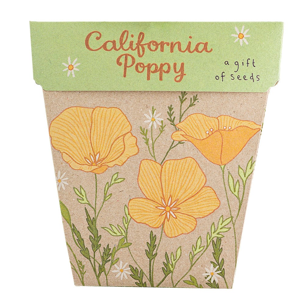 Sow 'n Sow Gift of Seeds Greeting Card - California Poppy
