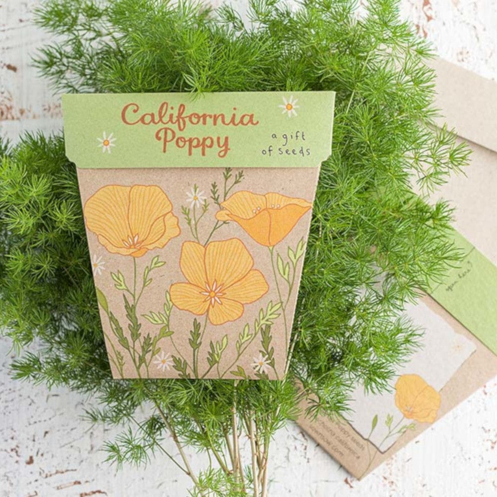 Sow 'n Sow Gift of Seeds Greeting Card - California Poppy