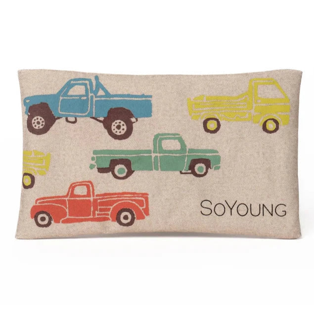 SoYoung No-Sweat Ice Pack for Lunch Boxes