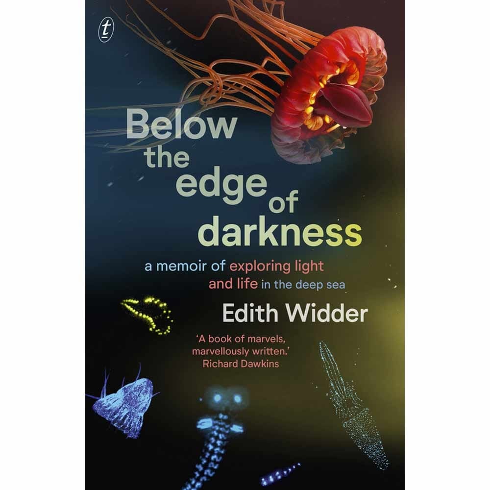 Below the Edge of Darkness