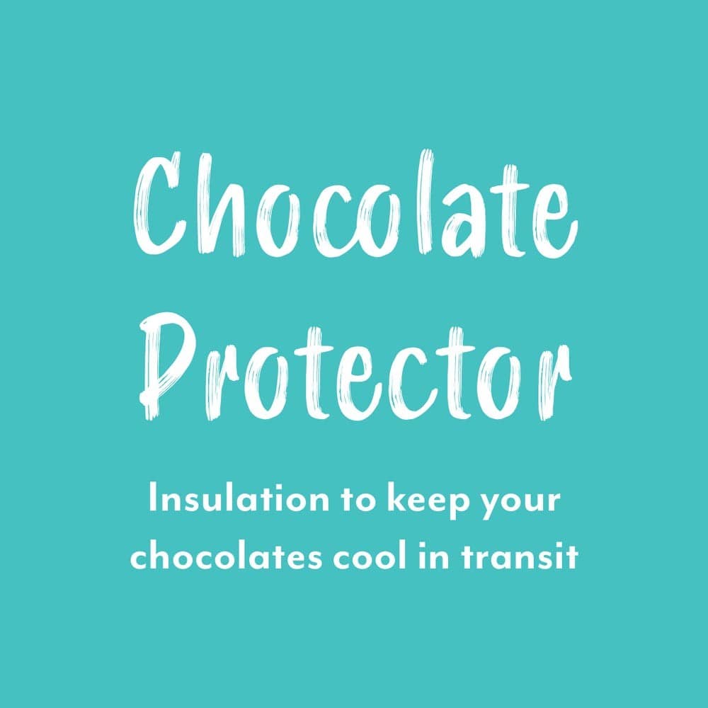 Ice Pack & Liner for Chocolate Shipping