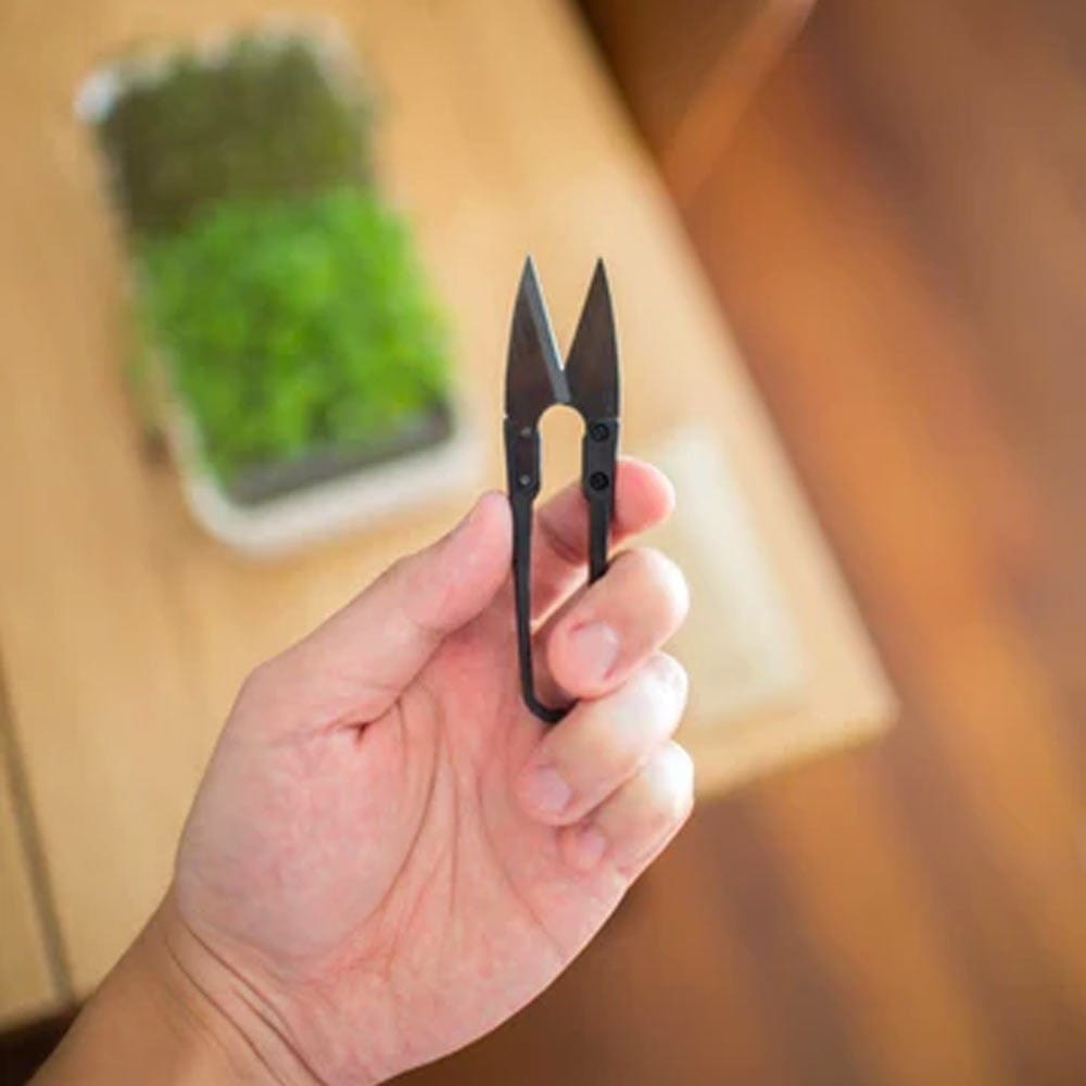 Micropod Harvesting Snips