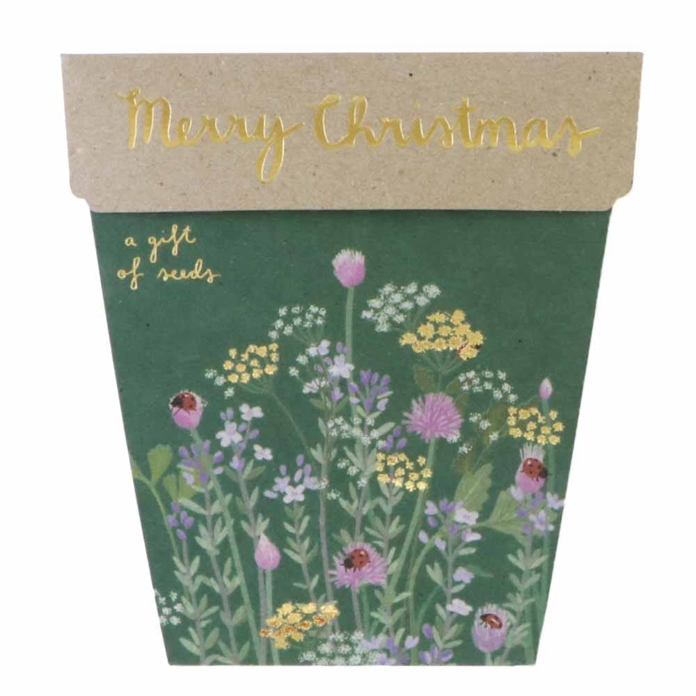 Sow 'n Sow Gift of Seeds Christmas Card - Merry Christmas (Herb)