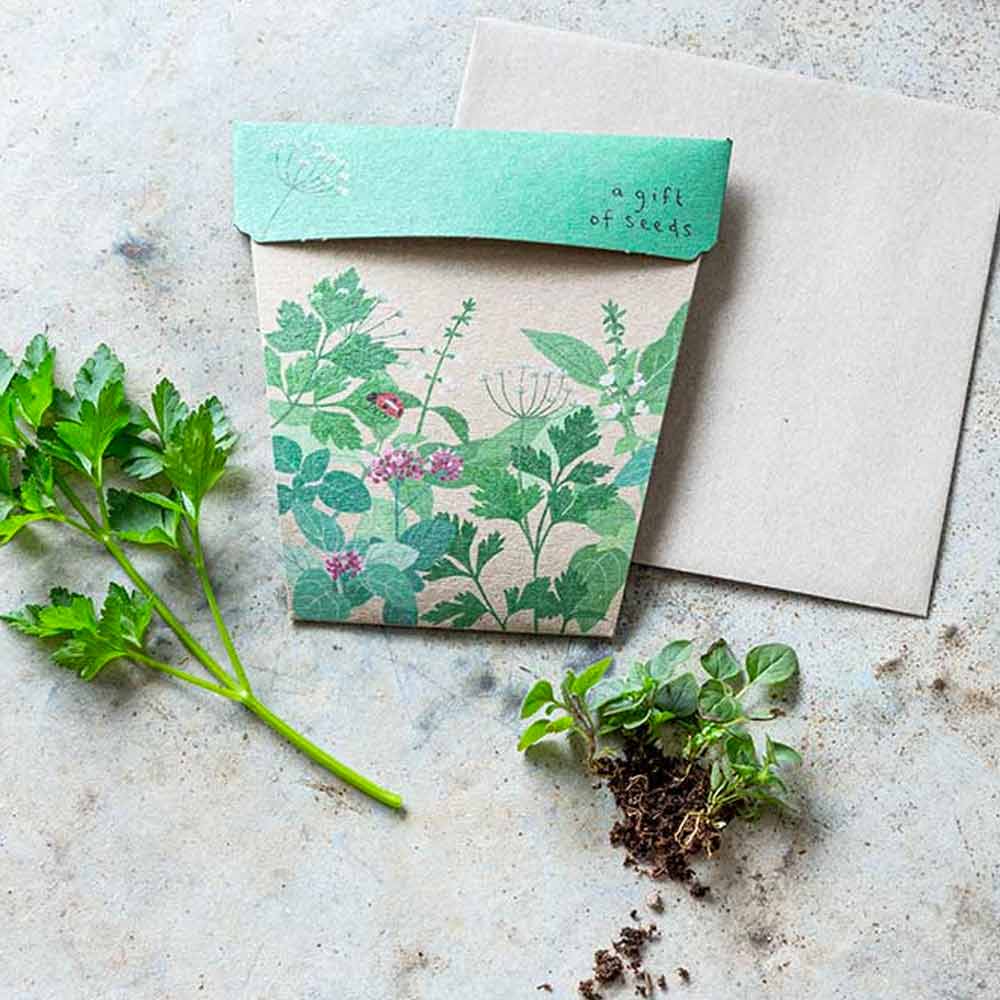 Sow 'n Sow Gift of Seeds Greeting Card - Garden Herbs