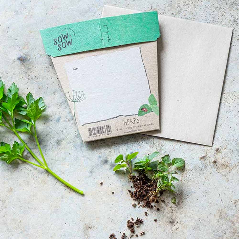 Sow 'n Sow Gift of Seeds Greeting Card - Garden Herbs