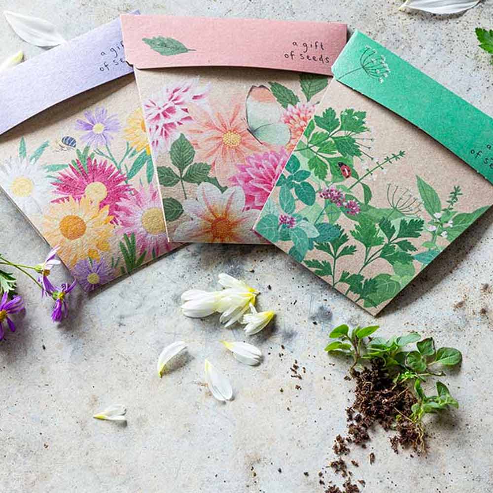 Sow 'n Sow Gift of Seeds Greeting Card - Garden Herbs