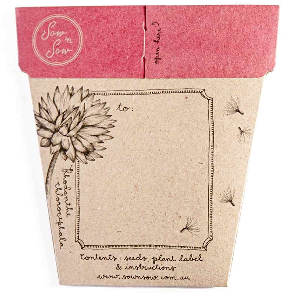Sow 'n Sow Gift of Seeds Greeting Card - Native Everlasting Daisy