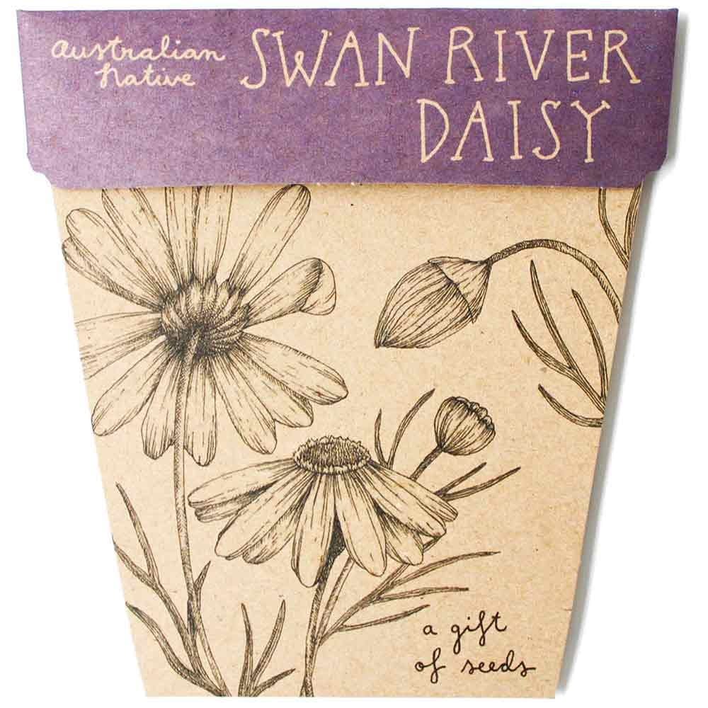 Sow 'n Sow Gift of Seeds Greeting Card - Native Swan River Daisy
