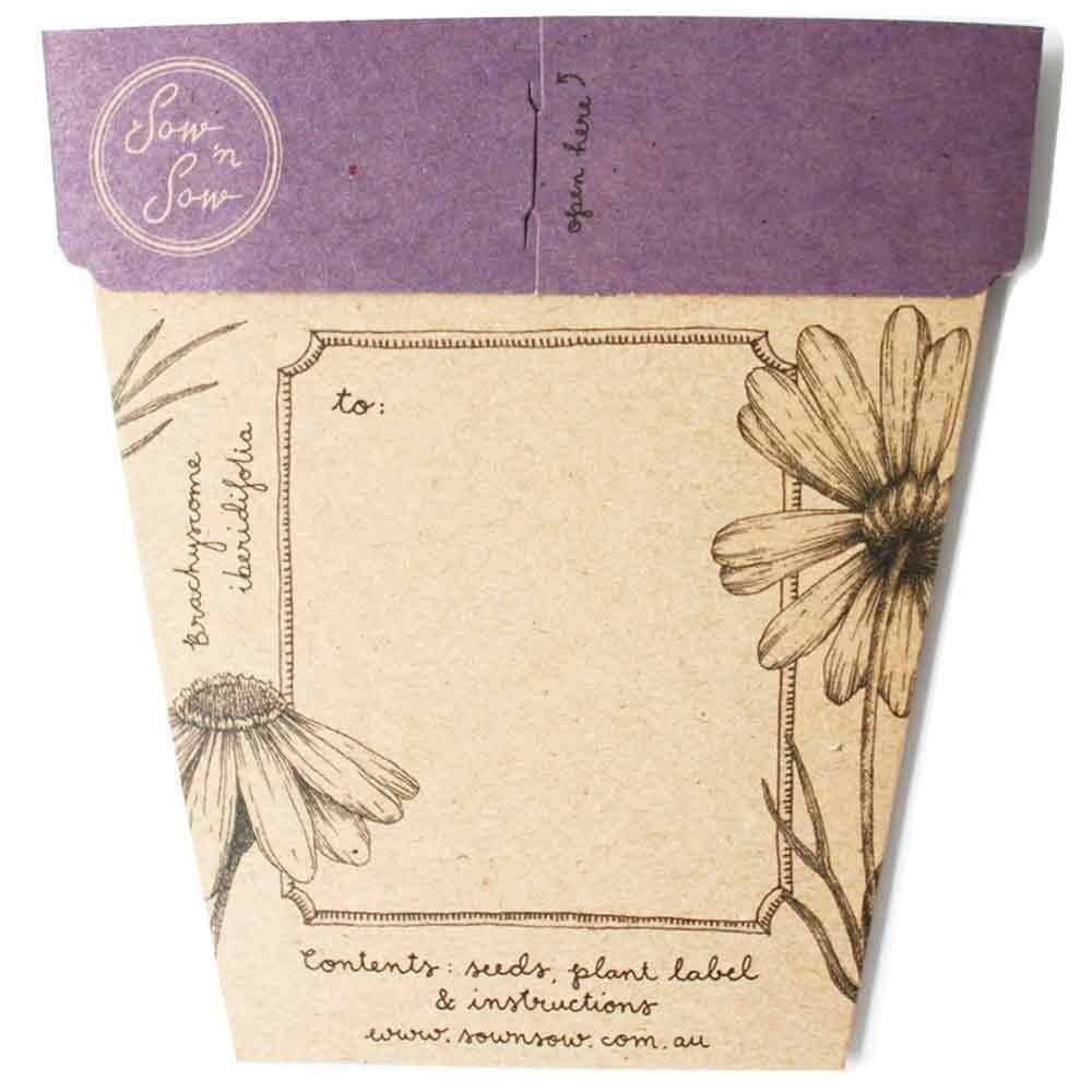 Sow 'n Sow Gift of Seeds Greeting Card - Native Swan River Daisy