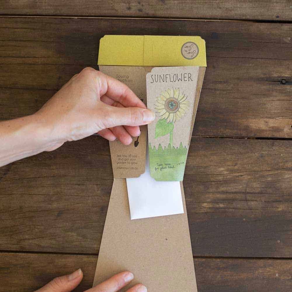 Sow 'n Sow Gift of Seeds Greeting Card - Sunflower