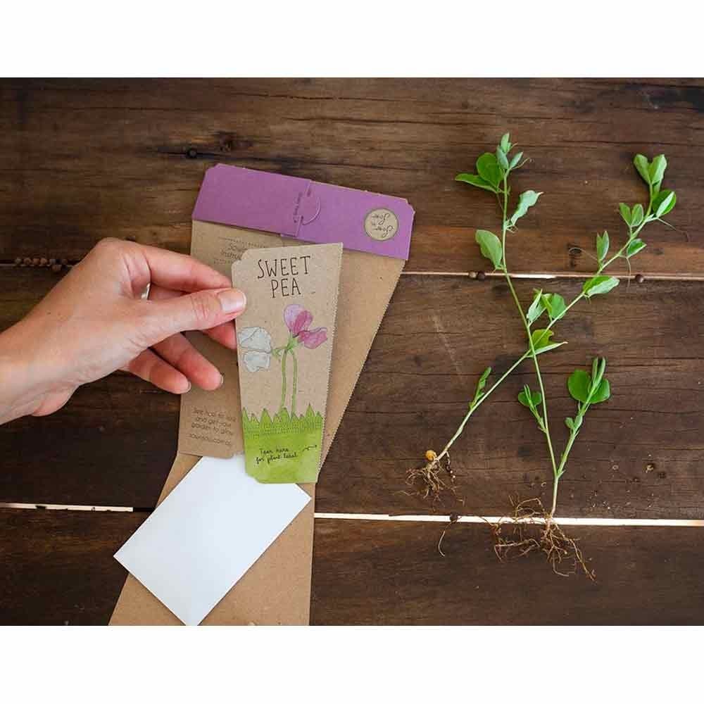 Sow 'n Sow Gift of Seeds Greeting Card - Sweet Pea