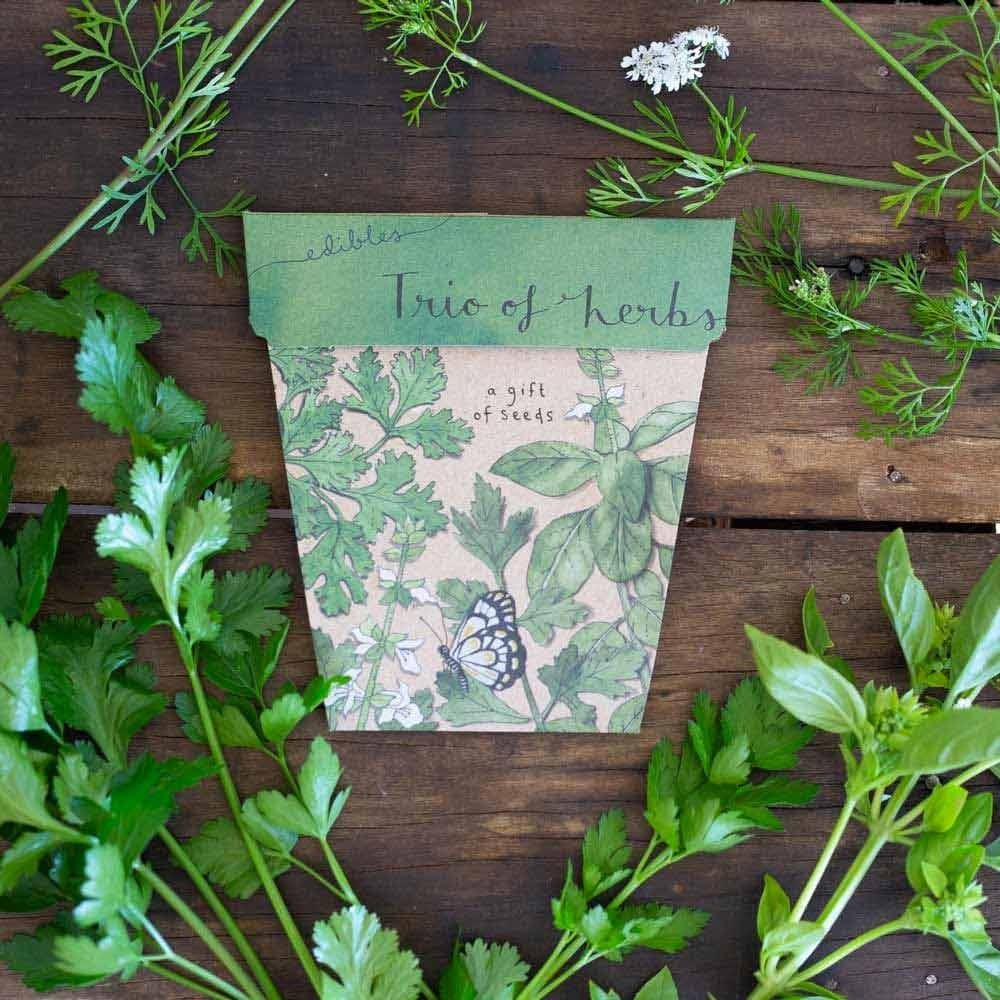Sow 'n Sow Gift of Seeds Greeting Card - Trio of Herbs