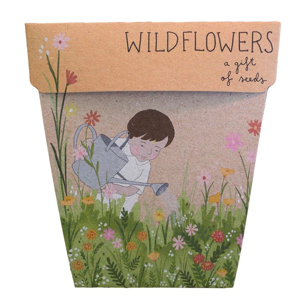 Sow 'n Sow Gift of Seeds Greeting Card - Wildflowers