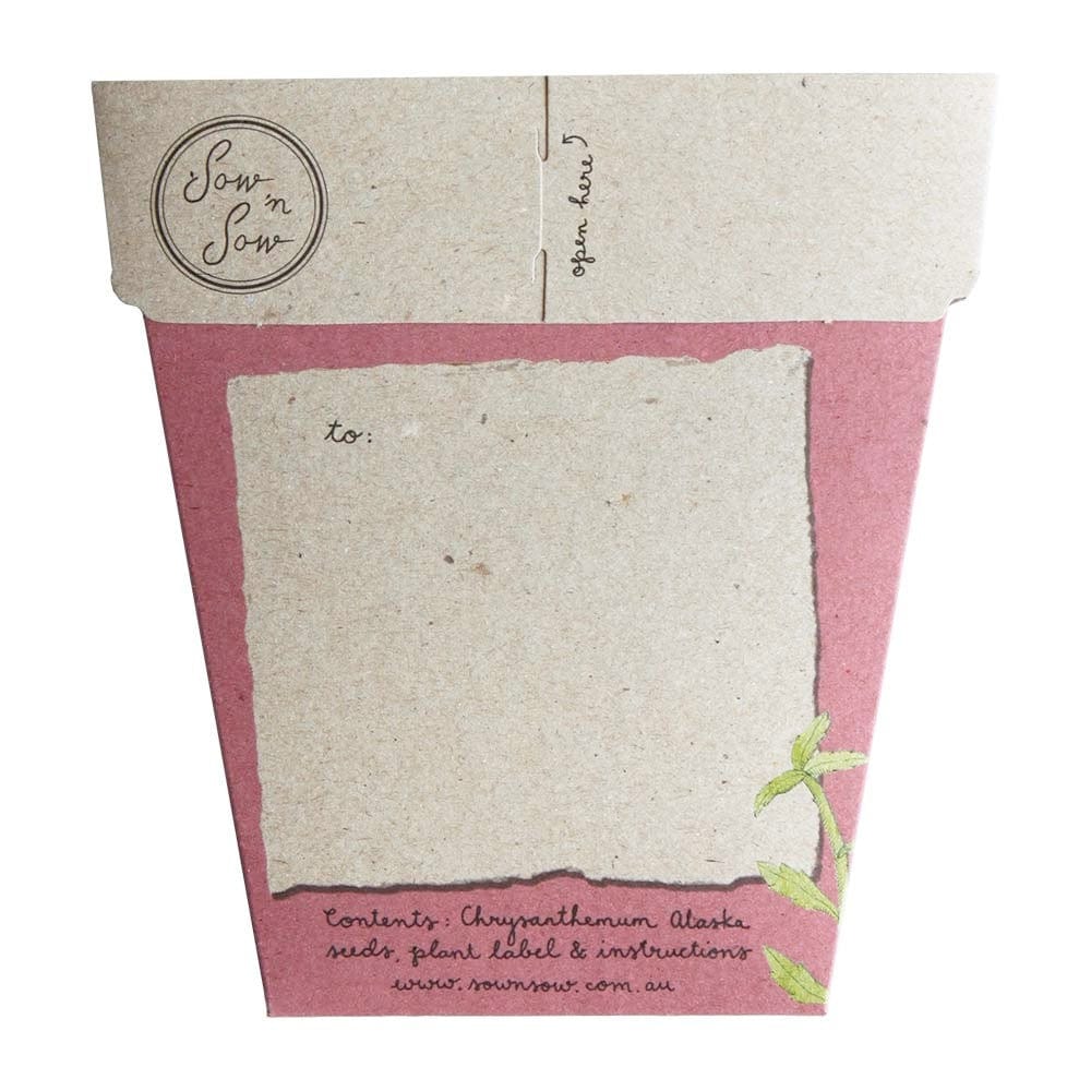 Sow 'n Sow Gift of Seeds Mother's Day Card - Chrysanthemum
