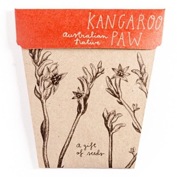 Sow 'n Sow Gift Of Seeds Set of 4 - Australian Native