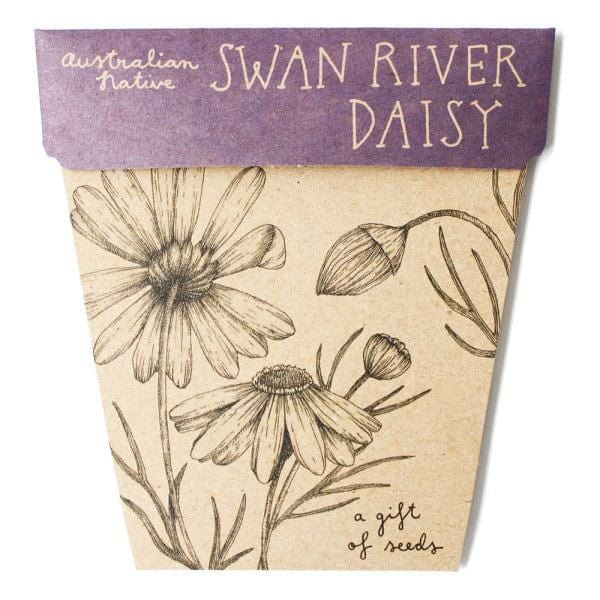 Sow 'n Sow Gift Of Seeds Set of 4 - Australian Native